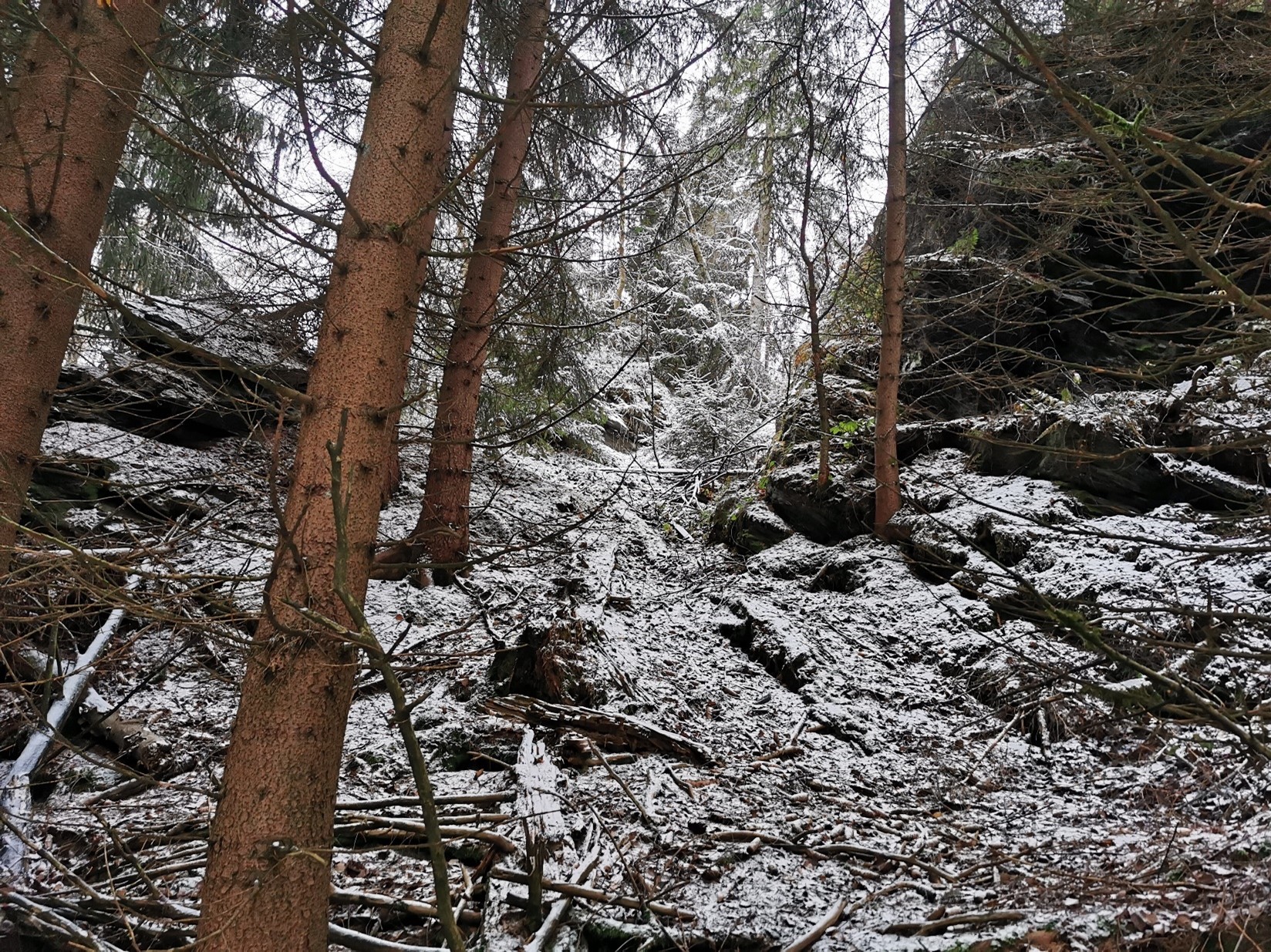Weg zur Burg – östliche Seite